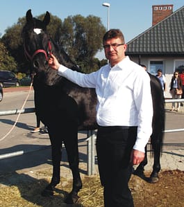 Były burmistrz chce targów końskich, urząd miejski organizatorem nie będzie